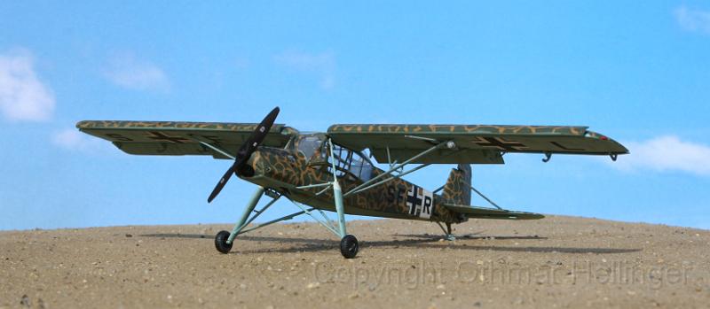 Storch_09.JPG