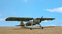 Storch_11